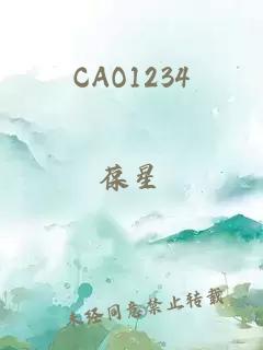 CAO1234