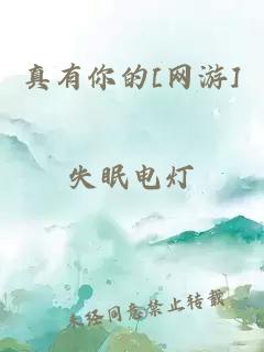 真有你的[网游]