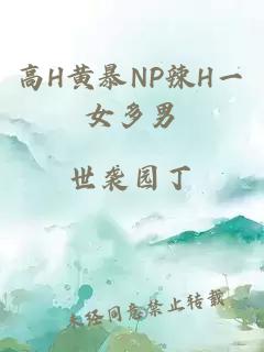 高H黄暴NP辣H一女多男