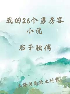 我的26个男房客小说