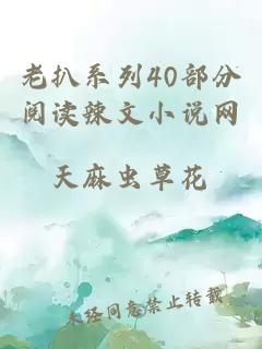 老扒系列40部分阅读辣文小说网