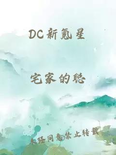 DC新氪星