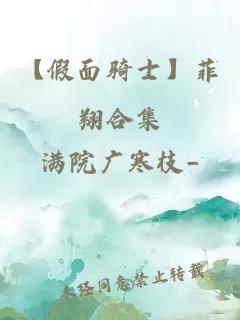 【假面骑士】菲翔合集