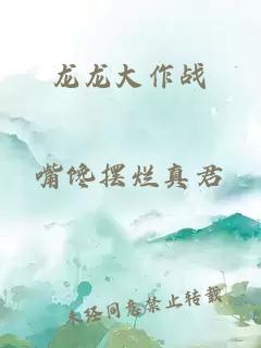 龙龙大作战