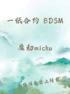 一纸合约 BDSM