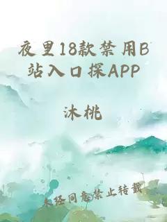 夜里18款禁用B站入口探APP