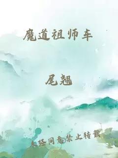 魔道祖师车