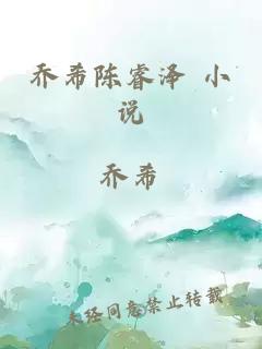 乔希陈睿泽 小说