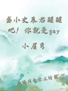 盛小史慕君醒醒吧！你就是gay