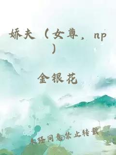 娇夫（女尊，np）