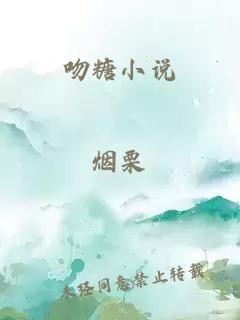 吻糖小说