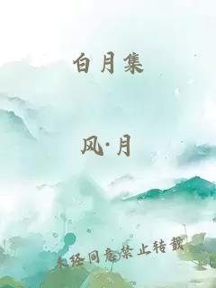 白月集