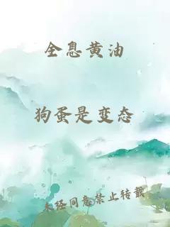 全息黄油