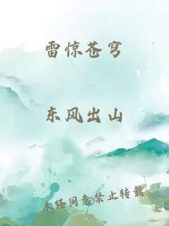 雷惊苍穹