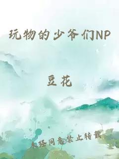 玩物的少爷们NP